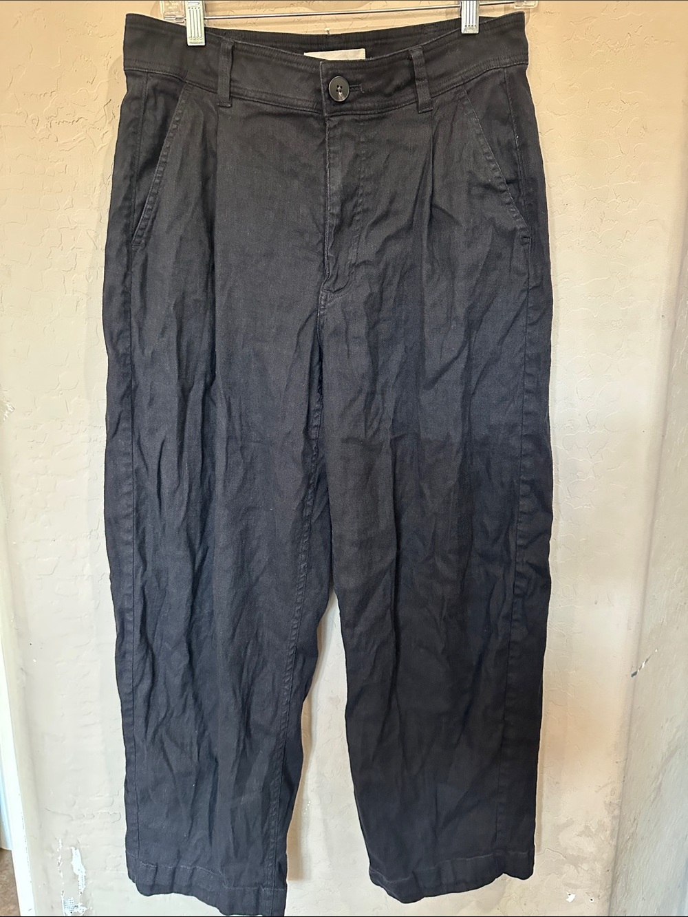 Everlane Black Pleated Chino Pants